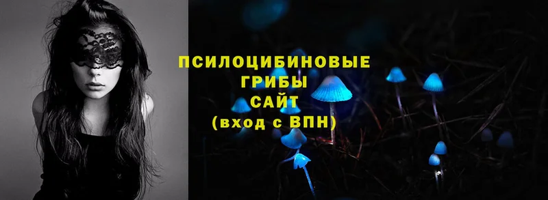 Галлюциногенные грибы Magic Shrooms  Заинск 